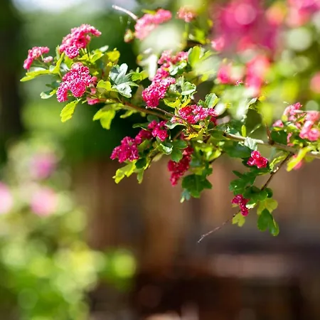 Grafinhof * Nordstrand