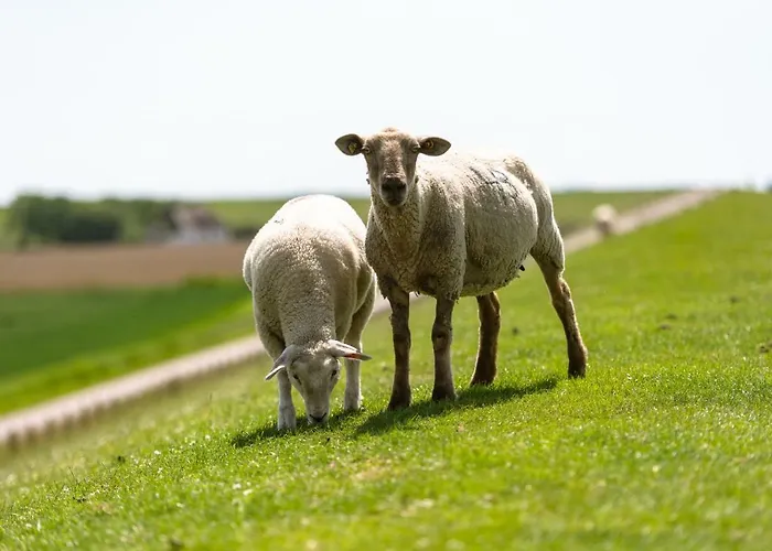 Grafinhof Πανσιόν Nordstrand