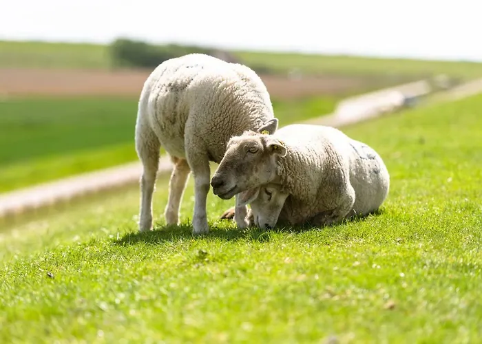 Grafinhof Nordstrand