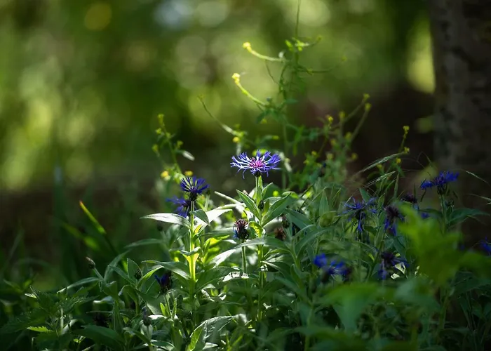 Grafinhof Nordstrand