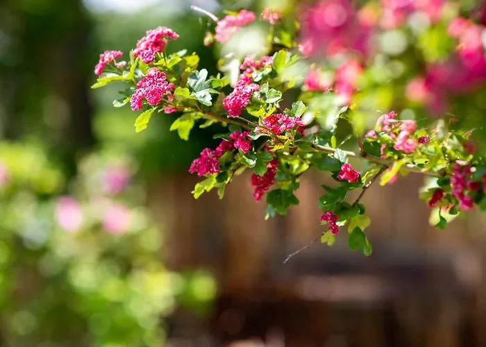 Grafinhof * Nordstrand